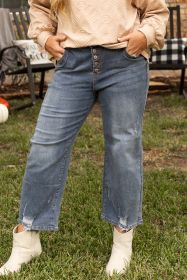 Medium Grey Plus Size Button Fly High Waist Ripped Straight Leg Jeans (size: (US 26W-28W)4X)