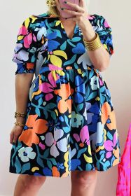 Blue Floral Print Collared Split V Neck Flared Plus Size Mini Dress (size: (US 14W-16W)1X)