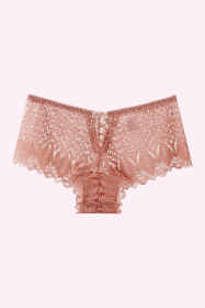 Blossom Sexy Lace Brief (size: (US 12-14)L)